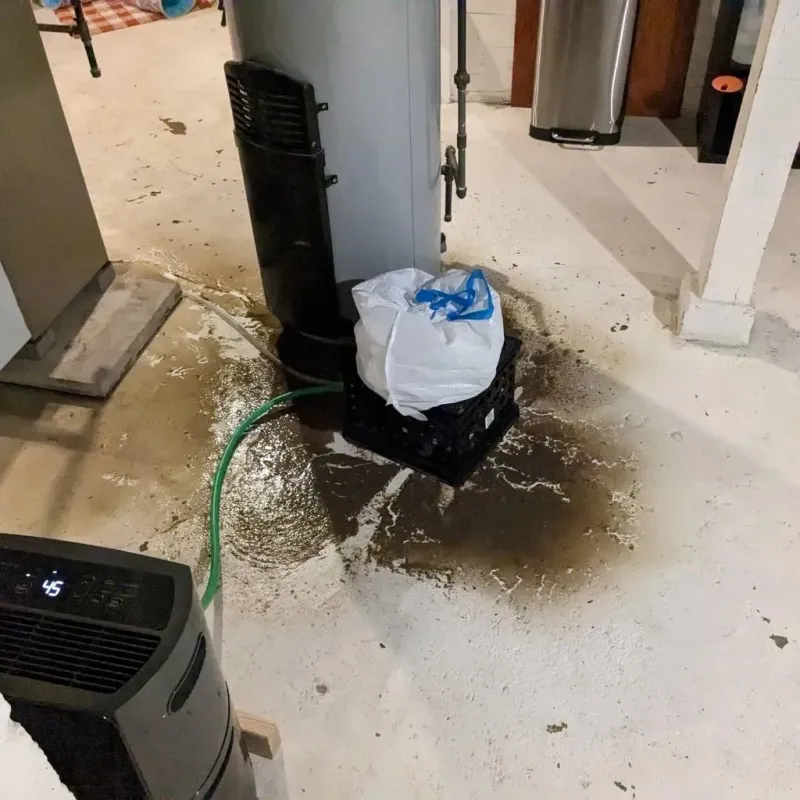 Sewage Backup Cleanup Service in Hanover, PA